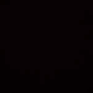 Meet your Posher, Bob